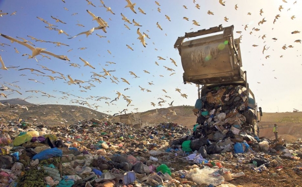 ΣΥΝΕΔΡΙΑΣΗ ΦΟΣΔΑ ΣΤΕΡΕΑΣ: Στην Άμφισσα τα σκουπίδια της Ερέτριας- Στην Ιστιαία του Δήμου Κύμης-Αλιβερίου και στη Θήβα της Καρύστου
