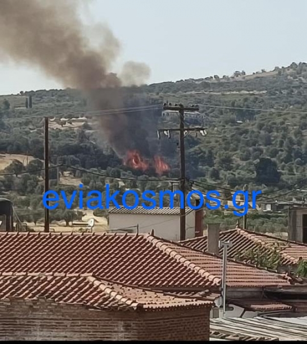 Καίγεται ένα από τα καλύτερα δάση της Εύβοιας - Αγώνας να μην εξαπλωθεί η φωτιά