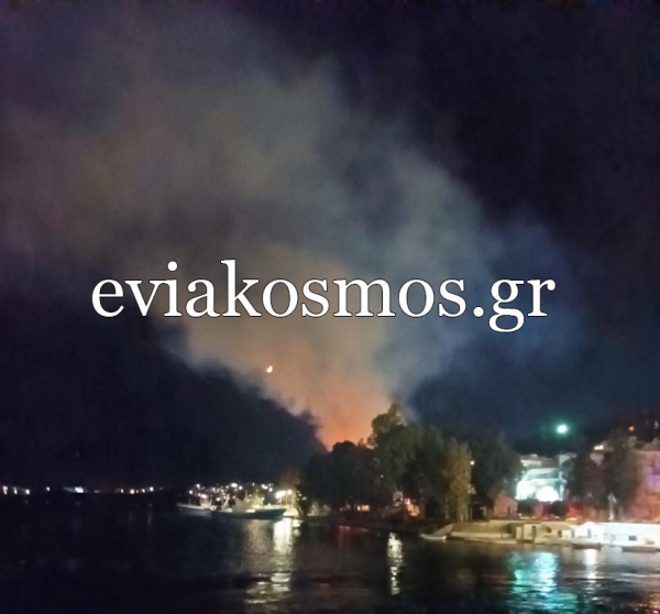 Τώρα: Φωτιά σε αποθήκη στον ΟΣΕ στη Χαλκίδα(φωτο)