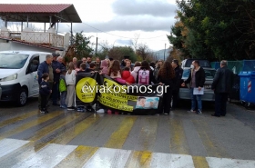 Έκαναν πορεία διαμαρτυρίας για το καλώδιο υψηλής τάσης στο Μύτικα- Τι δήλωσε ο Γιώργος Σπύρου για το θέμα